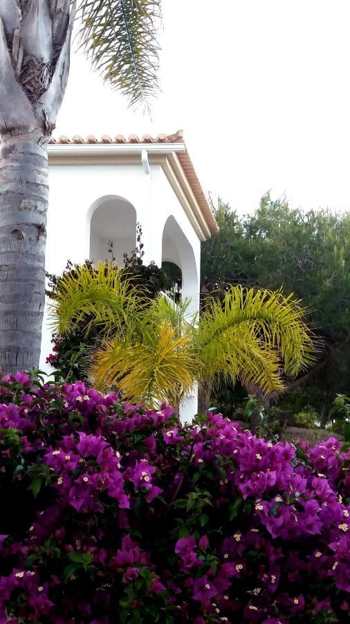 Senhora da Luz Queen Palm מראה חיצוני תמונה