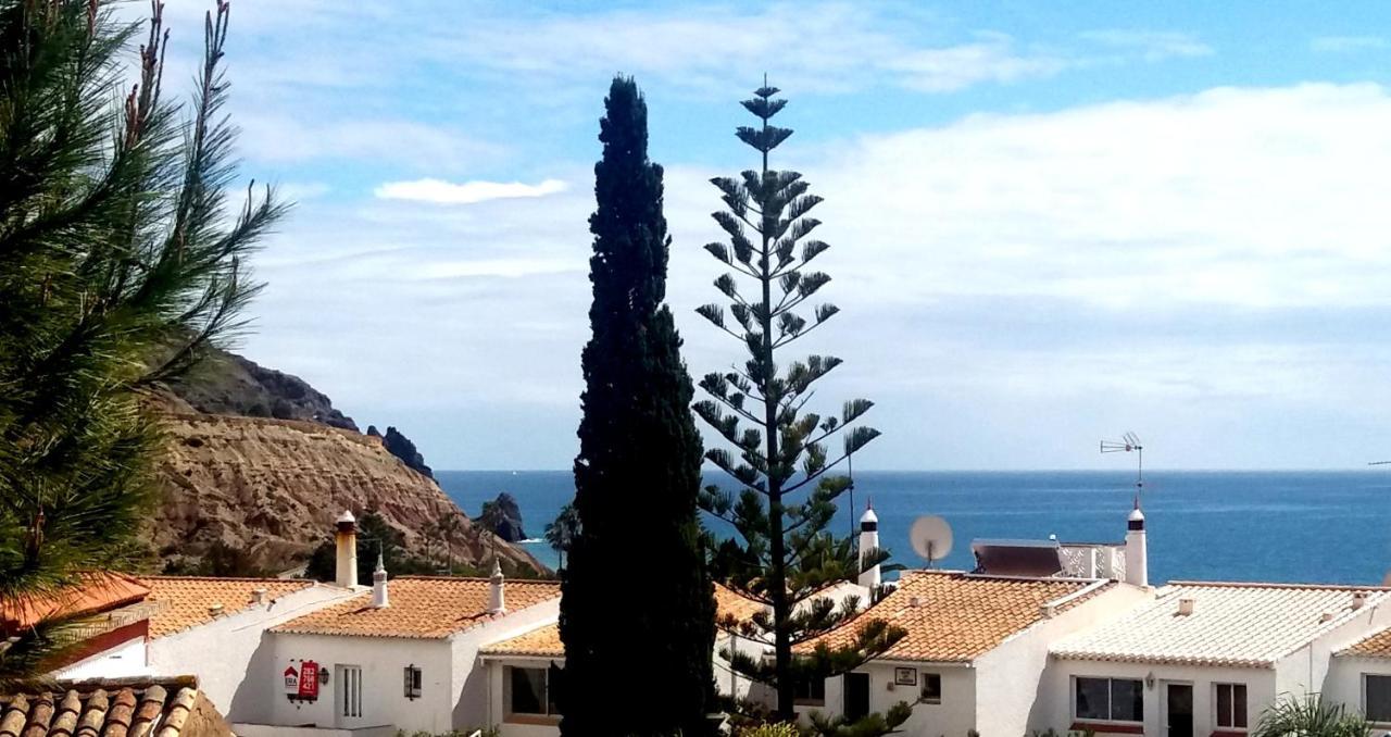 Senhora da Luz Queen Palm מראה חיצוני תמונה